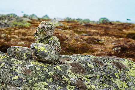 挪威诺斯山夏月多云的苔原景苔藓生长气候岩石模具苔原宏观植物裂缝背景图片