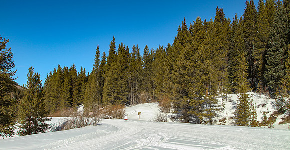 科罗拉多Hale营地附近的雪道图片