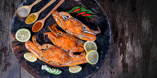 黑背景和带特克思的空间上的草药动物美食餐厅蛤蜊食物螃蟹盘子老虎海洋小龙虾图片