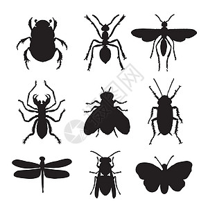 昆虫和动物 bug 蝴蝶蜻蜓蜜蜂瓢虫图标卡通 Vecto翅膀公园野生动物身体居住蚯蚓蟑螂行动水蛭宠物图片
