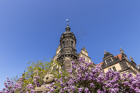 德累斯顿城堡住所蓝色建筑学教堂正方形艺术城市旅游地标历史宫廷图片