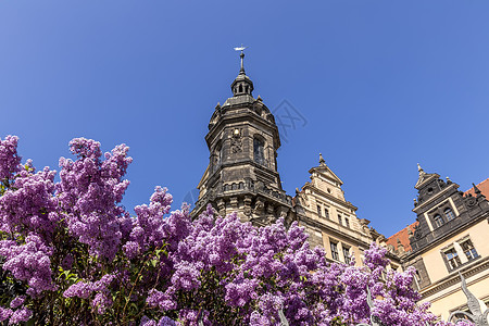 德累斯顿城堡住所城市宫廷历史旅行皇家建筑建筑学大教堂旅游紫色图片
