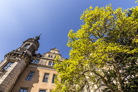 德累斯顿城堡住所皇家建筑学风格旅行艺术地标城市蓝色旅游宫廷图片