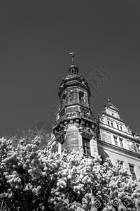 德累斯顿城堡住址 德国萨克森州首府白色建筑学宫廷历史灰色皇家住宅建筑地标风格图片