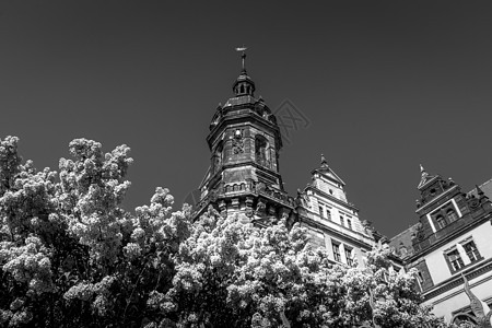 德累斯顿城堡住址 德国萨克森州首府皇家黑色大教堂旅游住宅教会风格灰色白色城市图片