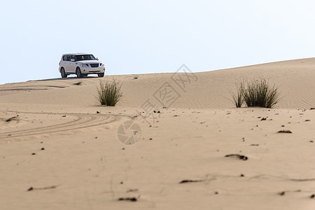 阿拉伯联合酋长国迪拜酋长国的沙漠野生动物园驾驶沙丘运输沙漠自由旅行旅游车辆越野车运动图片