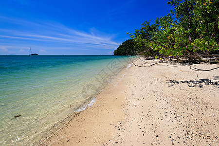 有金沙和海的海滩风景海洋假期旅游海景热带水晶气候蓝色旅行图片