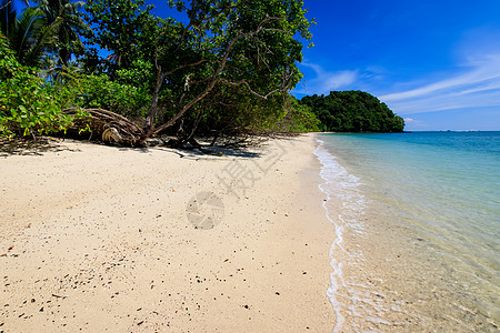 有金沙和海的海滩天空海景假期白色旅行热带旅游水晶风景气候图片