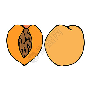 带内核的桃子 手画大纲图纸图标 多彩标识甜点食物水果橙子饮食热带营养草图艺术图片