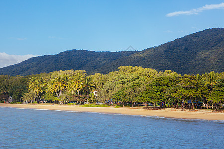 澳大利亚昆士兰州棕榈湾海滩滨海滩椰子天空植物太阳叶子海景旅游海岸棕榈图片