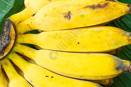 一枝多汁的黄香蕉图片