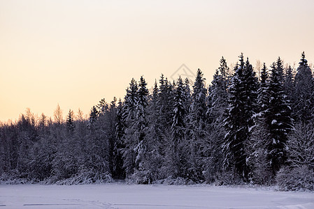冰湖和森林已经覆盖了大雪和日落紫色公园线索太阳暴风雪橙子环境蓝色天气松树图片
