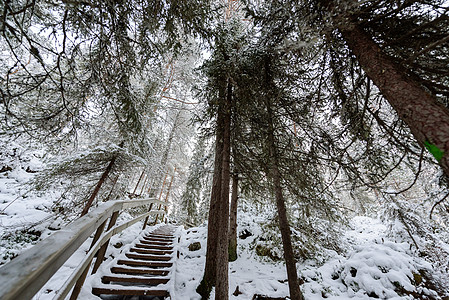 漫步的路上满是大雪和恶劣天气蓝色森林线索环境日落公园降雪国家痕迹紫色图片
