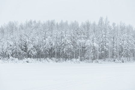 冰湖和森林覆盖着大雪和恶劣的湿度松树环境木头线索季节降雪紫色天气天空国家图片