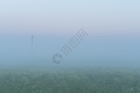 夏季雾中的绿地森林农场花朵薄雾天空日出环境乡村植物季节图片
