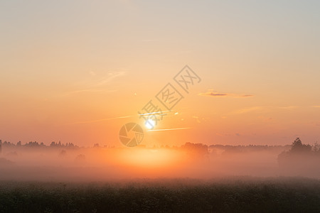 田野中美丽的夏日夕阳 橙色太阳照在草地上场景绿色日落天空阳光农业大麦黄色小麦日出图片