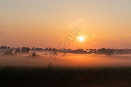 田野中美丽的夏日夕阳 橙色太阳照在草地上大麦场景阳光天空植物小麦黄色场地蓝色日落图片