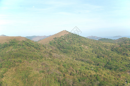 塔皮亚山山脉 树木和草景旅游旅行绿色树叶叶子图片