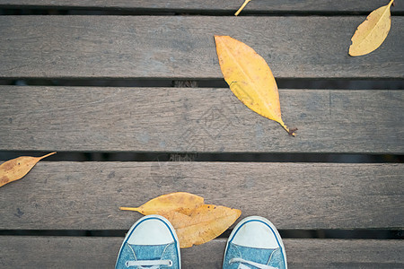 在木桥上用黄色干叶擦鞋图片