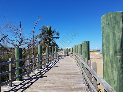 波多黎各伊莎贝拉海滩上树林的木板步行或道路海岸小路栏杆热带海洋树木海滩沿海支撑木头图片