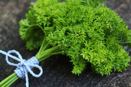 在古老的风湿树干上香料健康植物绿色草药花园背景乡村叶子农村图片