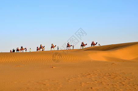 运载游人的骆驼大篷车在萨姆沙丘 塔尔沙漠 Jaisalmer 印度 这些沙丘位于塔尔沙漠中部 是拉贾斯坦邦最著名的沙丘之一太阳天图片