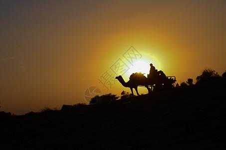 骆驼车和骆驼载着游客在萨姆沙丘 斋沙默尔的剪影 这些沙丘位于塔尔沙漠中部 是印度拉贾斯坦邦最著名的沙丘之一日落太阳天空旅行沙漠明图片