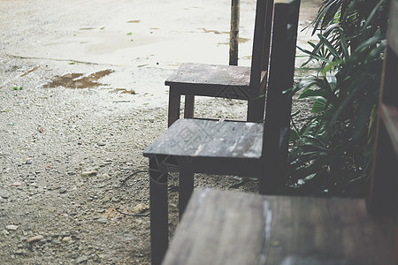花园中的木椅子植物绿色家具木头座位图片