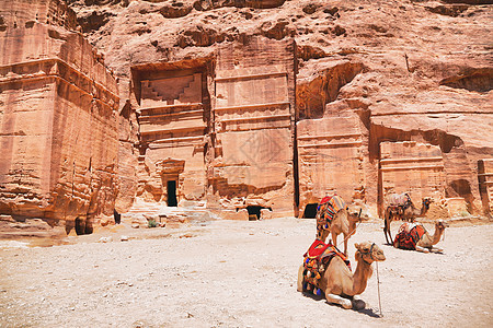 约旦在Wadi Rum沙漠的修道院废墟前带骆驼旅行 其背景是骆驼图片