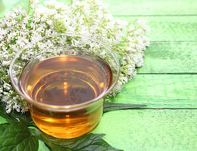 绿板上的瓦列兰茶茶厂茶树治疗植物健康镇痛自然医学图片