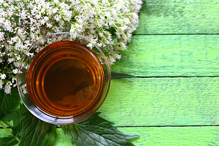 绿板上的瓦列兰茶自然医学茶厂植物茶树健康治疗镇痛图片