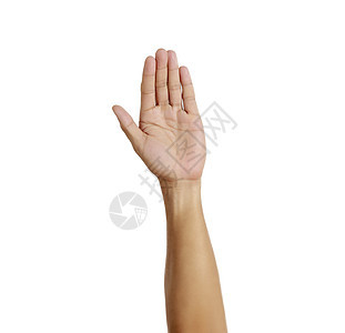 女人手在白色背景上显示5个手指牌 五号图片