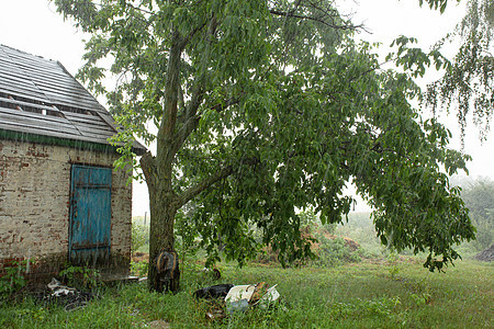 离远村庄的一座废弃老房子附近大雨 绿色自然花园国家季节天气暴雨活力村庄雷雨风暴危险图片