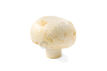新鲜的香肠蘑菇宏观拍摄 近身白切片辣椒营养蔬菜工作室按钮烹饪食物产品棕色饮食美食图片