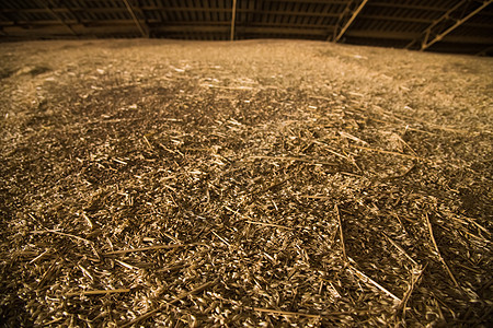谷物电梯的麦粒堆积如山乡村粮仓小麦收成商业粮食仓库面粉农场种子图片