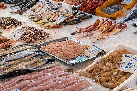 供销售的新鲜鱼和海鲜渔业鱿鱼盐水章鱼鲭鱼食物美食钓鱼乌贼市场图片