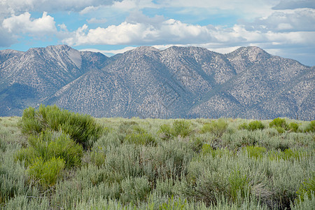 绿野地 树丛植物和山丘位于紧接克劳利湖的背景之下沙漠天空场地公园绿色植物反射山脉环境旅游泥坑图片