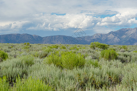 绿野地 树丛植物和山丘位于紧接克劳利湖的背景之下泥坑树木天空反射绿色植物远足假期旅行沙漠环境图片