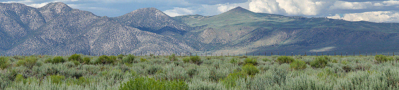绿野地 树丛植物和山丘位于紧接克劳利湖的背景之下山脉远足荒野长毛沙漠公园反射旅游环境高山图片