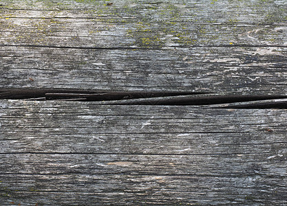 深棕色木材纹理背景墙纸材料木头植物植被样本空白背景图片