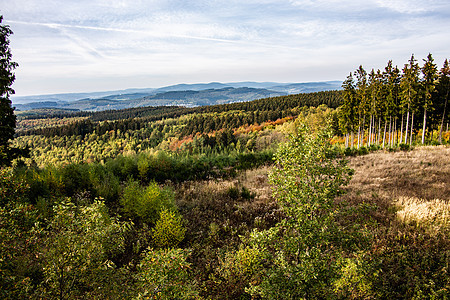 Sieger和Sauerland全景蓝色天空棕色绿色森林云层自由落叶树木黄色图片