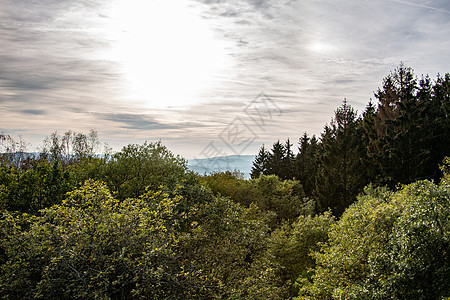 Sieger和Sauerland全景黄色蓝色森林天空自由云层绿色树木棕色落叶图片