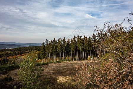 Sieger和Sauerland全景天空自由棕色森林黄色云层树木绿色落叶蓝色图片