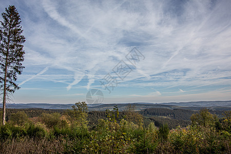 Sieger和Sauerland全景森林云层落叶天空绿色自由树木黄色蓝色棕色图片