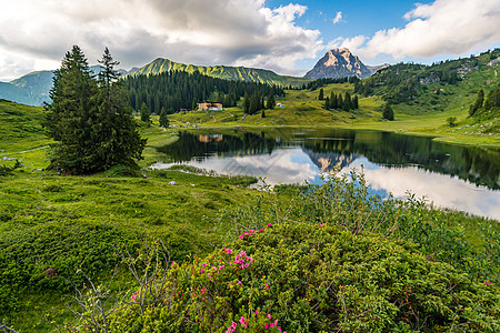 在美丽的莱奇奎伦山上 飞得惊人的远足旅行首脑风光家庭阳光娱乐山顶草地旅游假期图片