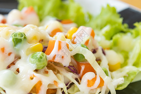 Vegan Salad或带有自然光的左边框架上的植物沙拉食谱饮食味道素食早餐玉米气味午餐橙子食物图片