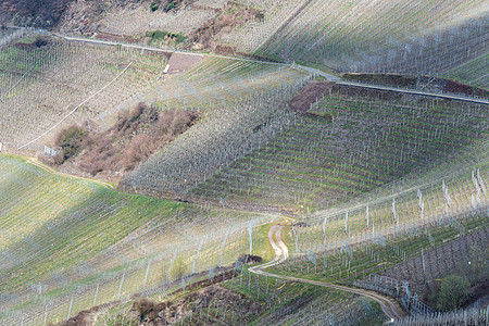 穿过葡萄园的通风路产区天线园艺曲线阴影山坡风光栽培葡萄丘陵图片
