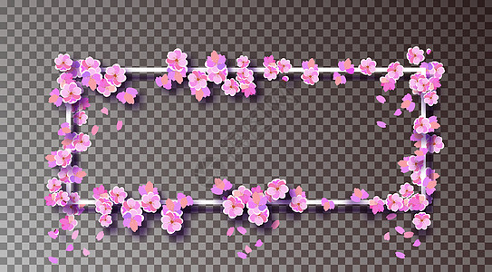 在白色框架上的樱花 广告 公告的地方 樱桃树枝上开着精致的粉红色花朵和花蕾 在透明背景上 插图图片