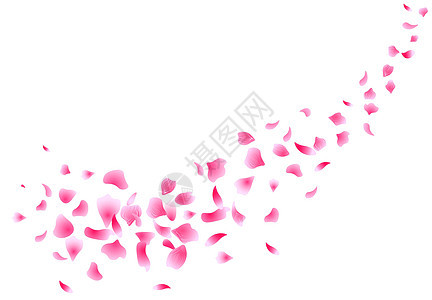 樱花飞舞的花瓣 鲜花设计 花瓣 孤立在白色背景上 花瓣玫瑰花 插图图片
