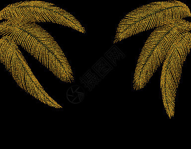 热带不同形状的金棕榈叶 两边都有 圆形结构化 图示图片